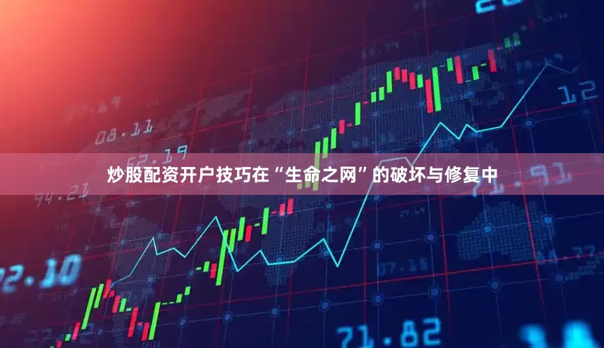 炒股配资开户技巧在“生命之网”的破坏与修复中