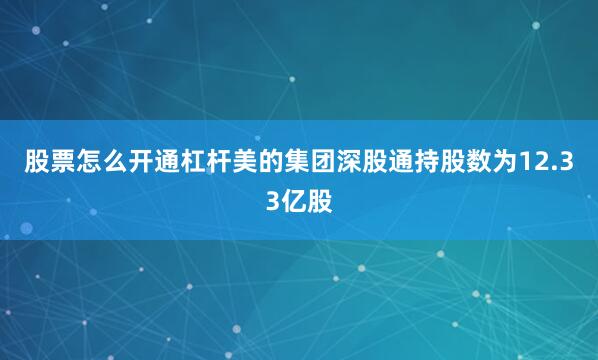 股票怎么开通杠杆美的集团深股通持股数为12.33亿股