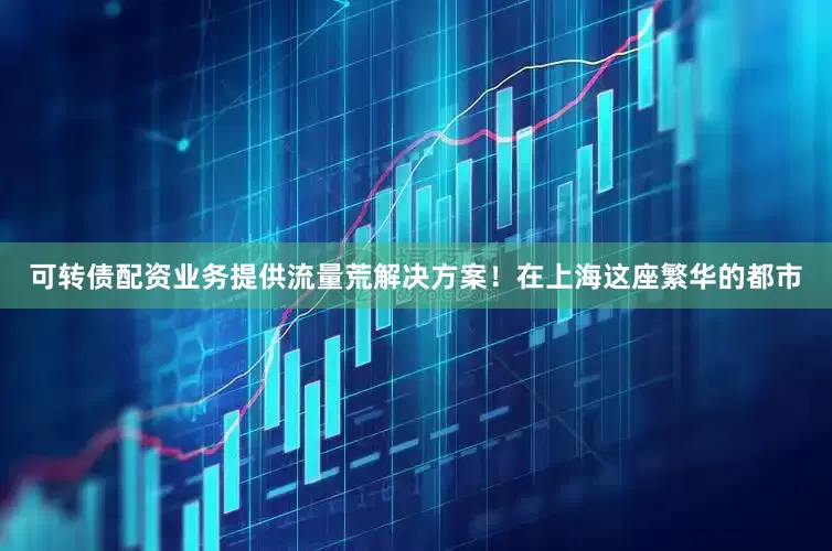 可转债配资业务提供流量荒解决方案！在上海这座繁华的都市