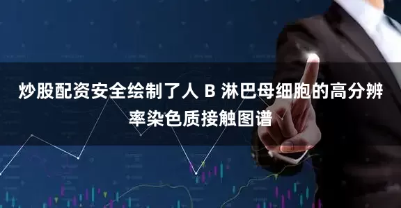 炒股配资安全绘制了人 B 淋巴母细胞的高分辨率染色质接触图谱