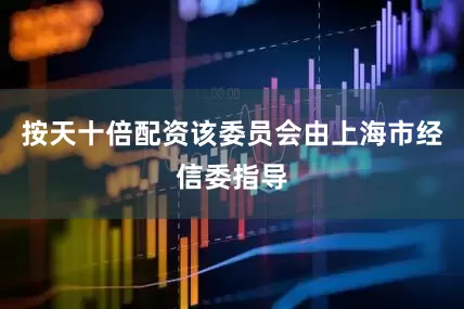 按天十倍配资该委员会由上海市经信委指导