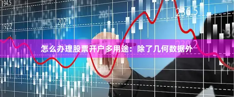 怎么办理股票开户多用途：除了几何数据外