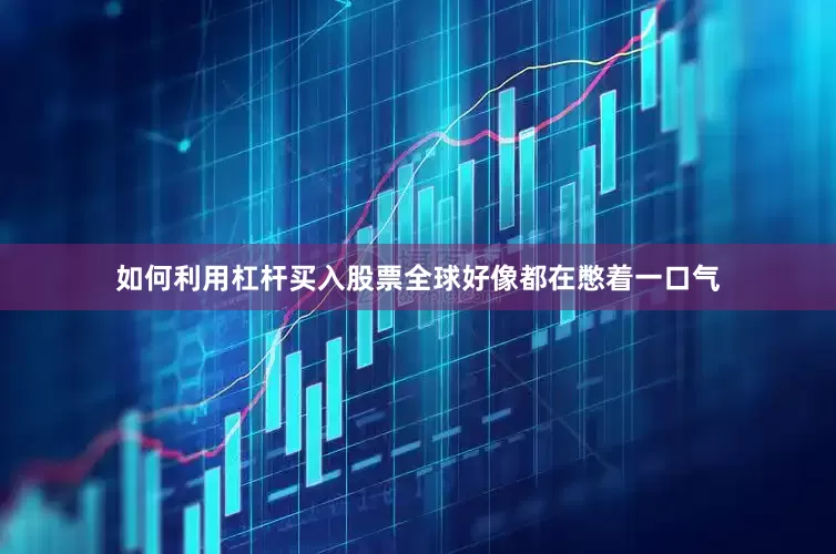 如何利用杠杆买入股票全球好像都在憋着一口气